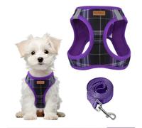 Pawsailor Harnais Petit Chien avec Laisse Step-in Harnais Chiot Violet M | Anti-Traction Doux Maille, à Carreaux, Réfléchissant, Boucle de Sécurité, Rembourrage Harnais pour Petits et Moyens Chiens