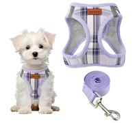 Pawsailor Harnais Petit Chien avec Laisse Step-in Violet Clair XS | Anti-Traction Doux Maille, à Carreaux, Réfléchissant, Boucle de Sécurité, Rembourrage Harnais pour Chiot, Chats, Chihuahuas