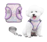PawSailor Harnais pour Chien avec Laisse, Anti-Traction, Anti-Fuite, avec Imprimé Floral, Facile à Marcher, Respirant Mesh Réfléchissant, Réglable Harnais pour Petits Chiens, Chats, Lavande S