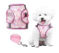 PawSailor Harnais pour Chien Moyen Léger et Respirant avec Laisse, Harnais Anti-Fuite, Réfléchissant, Anti-Traction Sécurité, Promenade Facile pour Toutes Les Saisons, Rose M