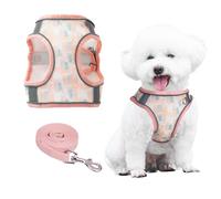 PawSailor Harnais pour Chien Moyen Léger et Respirant avec Laisse, Harnais Anti-Fuite, Réfléchissant, Anti-Traction Sécurité, Promenade Facile pour Toutes Les Saisons, Corail M