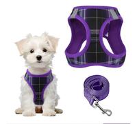 PawSailor Step-in Harnais pour Petit Chien Anti-Traction Tissu Doux à Carreaux Harnais Chiots avec Laisse Réfléchissant Boucle de Sécurité Rembourrage Confort Gilet Pour Petites Cheins, Chats Violet S