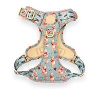 Pawsome Paws Boutique Winnie l'ourson Harnais pour Chien avec Bordure réfléchissante et Boucle Robuste Taille XS
