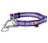 Pawtita Collier Martingale réfléchissant pour Chiens pour entraînement à l'obéissance de chez, Moyen Violet