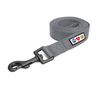Pawtitas Laisse pour Chien - 1,8 m - Couleur Unie - Poignée Confortable - Laisse d'entraînement pour Chien - Extra Petite - Laisse pour Chien - Laisse pour Chat - Gris