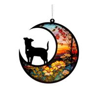 PawwJoy Attrape-Soleil Commémoratif pour Chien 15x15 cm, Cadeau de Condoléances pour Animaux, Souvenir Décoratif en Acrylique avec Installation Facile