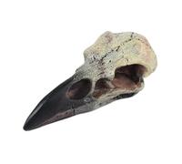 PawwJoy Statue de crâne de Corbeau Pendentif en résine Décoration d'halloween pour Bureau Fête Gothique- 60 Mm X 28 Mm X 22.5