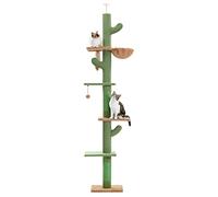 PAWZ Road Arbre a Chat Cactus du Sol au Plafond, Hauteur Réglable 229-275cm