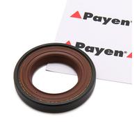 PAYEN NF846 Joint SPI d'arbre à cames