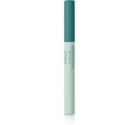 PAYOT PÂTE GRISE Duo Purifying Concealing Pen 2 x 3 ml