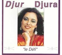 Pays Arabes - Le Defi