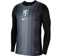 Pays-Bas 2025/26 Stadium Goalkeeper Nike Maillot de Football à Manches Longues avec Technologie Dri-FIT pour Homme HQ1129