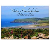 Pays de Galles Pembrokeshire - La nature en point de mire-, Version française (Calendrier mural 2026 DIN A3 portrait), Calendrier CALVENDO mensuel