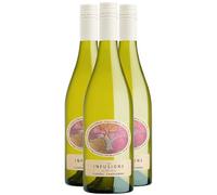 Pays d'Hérault Coteaux de Bessilles Les Infusions 8.5% Floréal Chardonnay - Blanc 2024 - Villa Noria - Vin Blanc du Languedoc - Roussillon (3x75cl) HVE