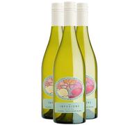 Pays d'Hérault Coteaux de Bessilles Les Infusions 8.5% Floréal Sauvignon Blanc - Blanc - Villa Noria - Vin Blanc du Languedoc - Roussillon (3x75 IO