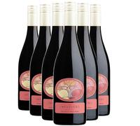 Pays d'Hérault Coteaux de Bessilles Les Infusions 8.5% Monarch Pinot Noir - Rouge 2024 - Villa Noria - Vin Rouge du Languedoc - Roussillon (6x75cl) BIO
