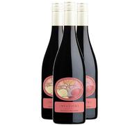 Pays d'Hérault Coteaux de Bessilles Les Infusions 8.5% Monarch Pinot Noir - Rouge 2024 - Villa Noria - Vin Rouge du Languedoc - Roussillon (3x75cl) BIO