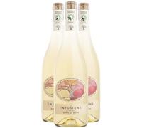 Pays d'Hérault Coteaux de Bessilles Les Infusions Blanc de Noirs - Blanc 2024 - Villa Noria - Vin Blanc du Languedoc - Roussillon (3x75cl) BIO