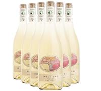 Pays d'Hérault Coteaux de Bessilles Les Infusions Blanc de Noirs - Blanc - Villa Noria - Vin Blanc du Languedoc - Roussillon (6x75 IO