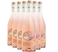 Pays d'Hérault Coteaux de Bessilles Les Infusions Orange - Orange 2024 - Villa Noria - Vin Orange du Languedoc - Roussillon (6x75cl) BIO