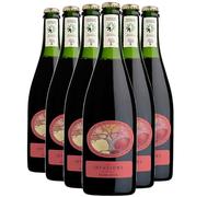 Pays d'Hérault Coteaux de Bessilles Les Infusions Rouge Léger - Rouge 2024 - Villa Noria - Vin Rouge du Languedoc - Roussillon (6x75cl) BIO