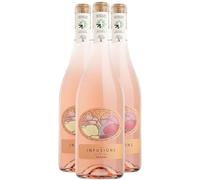 Pays d'Hérault Coteaux de Bessilles Les Infusions Vin Orange - Blanc 2024 - Villa Noria - Vin Blanc du Languedoc - Roussillon (3x75cl) BIO