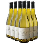 Pays d'Oc Muscat sec - Blanc 2024 - Famille Lamblin - Vin Blanc du Languedoc - Roussillon (6x75cl)