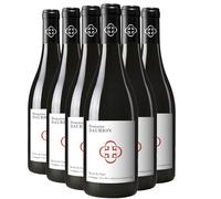Pays d'Oc Secret de Caux - Rouge 2024 - Daurion - Vin Rouge du Languedoc - Roussillon (6x75 IO