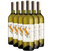 Pays d'Oc Secret de Cépage Viognier - Blanc 2025 - Les Vignerons du Sommiérois - Vin Blanc du Languedoc - Roussillon (6x75cl)