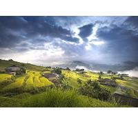 Paysage de rizières du Vietnam DIY 5D Diamond Painting par numéro Kits uniques Décoration murale pour la maison Cristal Strass Décoration murale Point de croix 30x40CM