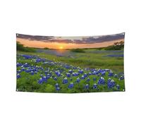 Paysage des Bluebonnets du Texas - Bannière imprimée pour festival - Décoration d'extérieur résistante aux UV et à la décoloration - Pour les salons commerciaux et les événements de jardin - Drapeau
