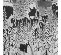 Paysage D'hiver - Schattengang