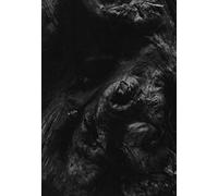 Paysage d'Hiver - Steineiche