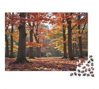 Paysage forêt automnale Puzzle 1000 Pièces avec Emboîtement Parfait, Puzzle d'art défi Entre Amis pour Un Tableau À Encadrer, Superbe Idée Cadeau 38x26cm/1000pcs