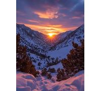 Paysage Peinture Numero Adulte Lever du Soleil Peinture par Numero Adulte Débutants Facile sur Toile 100x130 cm Numéro d'art avec 3 Pinceaux, Loisirs Créatifs Adultes, pour Decoration Maison, 1244