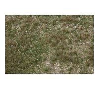 Paysage PREMIUM, Champ d herbes sauvages G