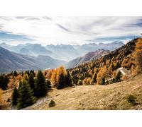Paysages d'automne en Montagne - Puzzle Classique de 8000 pièces pour Adultes - Créatif, cognitif, éducatif et décoratif (14 Ans+)