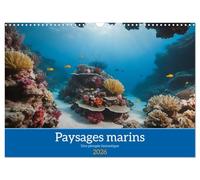 Paysages marins Une plongée fantastique (Calendrier mural 2026 DIN A3 horizontal), CALVENDO calendrier mensuel
