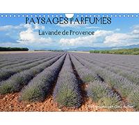 Paysages parfumés - Lavende de Provence (Calendrier mural 2022 DIN A4 horizontal): Douze paysages fleuris par la lavande, l'une des plantes la plus ... de Provence. (Calendrier mensuel, 14 Pages )