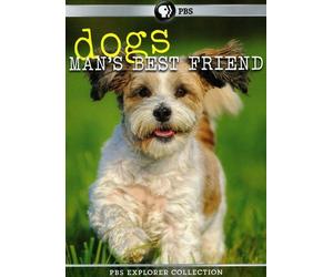 PBS Explorer Collection: Dogs: Mans Best Friend 4 Pack
