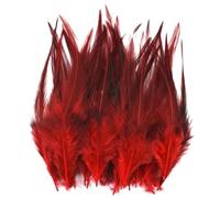 PBWERIGL Plumes, plumes de faisan, Plumes de dinde et poulet for la fabrication bijoux, décoration multicolore, paquet 20 4-6 pouces 10-15 cm(Red)