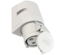 PC Electric 123-1 Prise murale femelle CEE 32 A 3 pôles 1 pc(s)