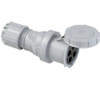 PC Electric Power Twist 244-1 Femelle CEE 125 A 4 pôles 1 pc(s)