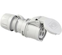 PC Electric Shark 213-1 Femelle CEE 16 A 3 pôles 1 pc(s)