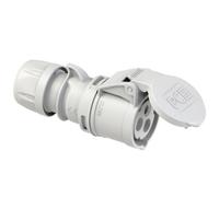 PC Electric Shark 213-1 Femelle CEE 16 A 3 pôles 1 pc(s)