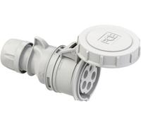 PC Electric Shark 2152-1 Femelle CEE 16 A 5 pôles 1 pc(s)