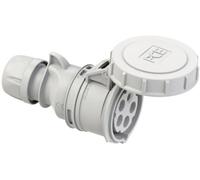 PC Electric Shark 2252-1 Femelle CEE 32 A 5 pôles 1 pc(s)