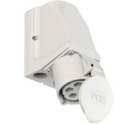 PC Electric Shark 925-1 Prise murale femelle CEE 32 A 5 pôles 1 pc(s)