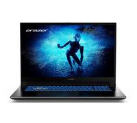 PC Portable Gamer ERAZER Defender P50i MD62643 - Windows 11 - 17,3"" FHD IPS 144Hz - RTX 4060 8Go - Core i7-12650H -RAM 16Go -1To SSD