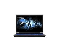 PC Portable Gamer ERAZER MAJOR X10 Windows 11 16 QHD 165Hz Intel Arc A730M Core i712